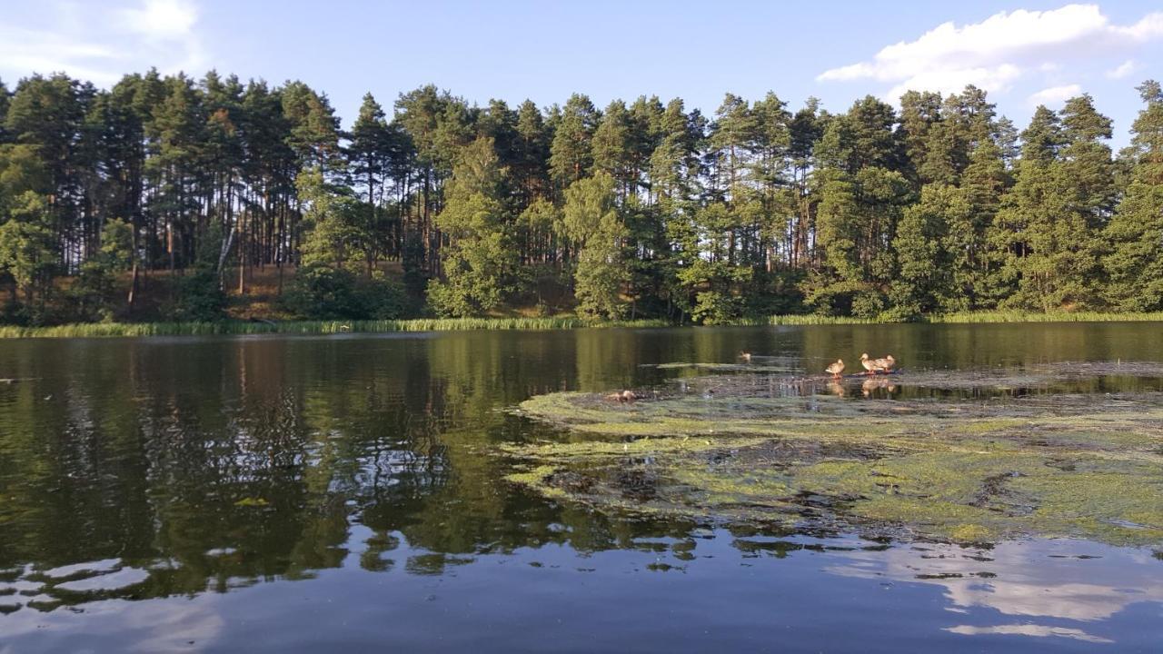Osrodek Wypoczynkowy Soszko Villa Swornegacie Dış mekan fotoğraf