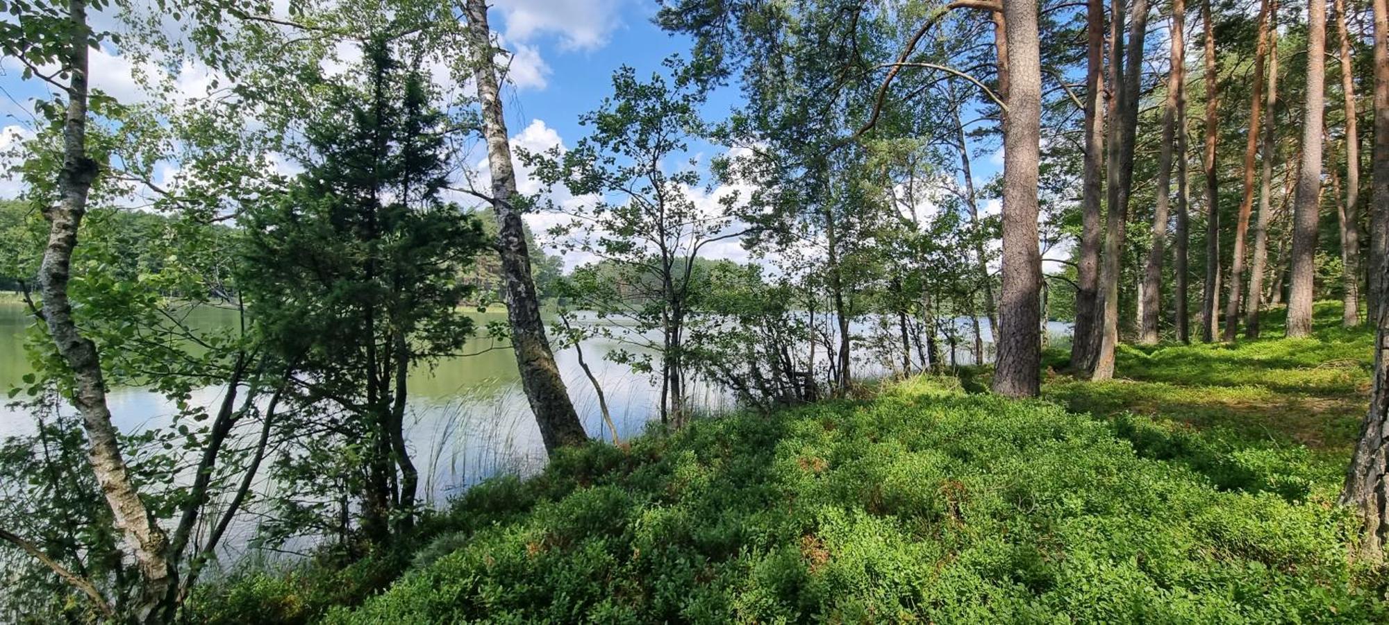 Osrodek Wypoczynkowy Soszko Villa Swornegacie Dış mekan fotoğraf